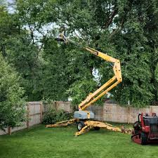 Reliable Nambe, NM Tree Removal and Landscaping Services Solutions